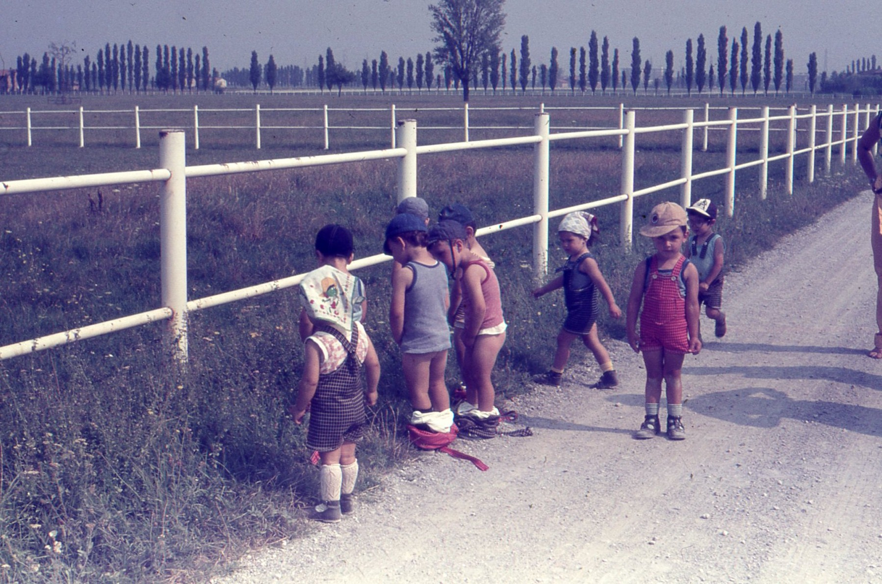 Nido Peter Pan, gita alla Tenuta agricola Orsi Mangelli (Zola Predosa), 1979