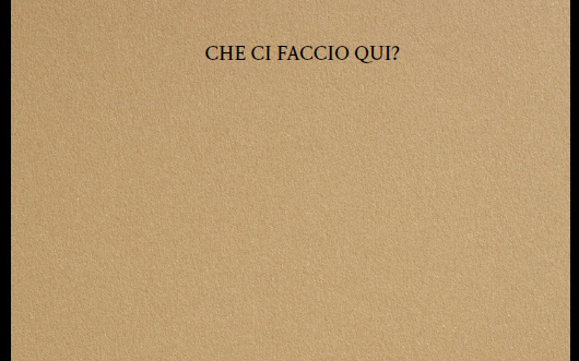 Libro che ci faccio qui